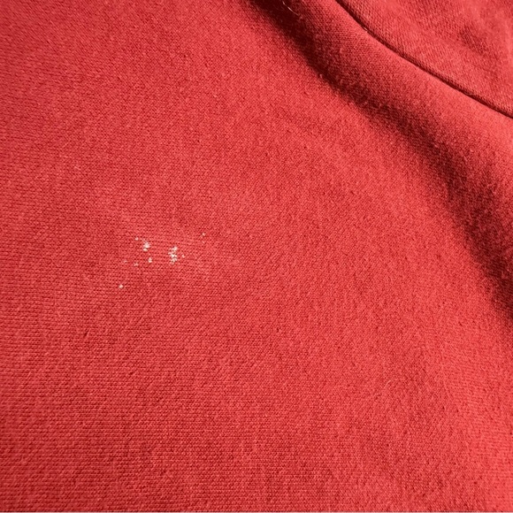 The North Face Brick Red Bear Hoodie - Picture 11 of 11